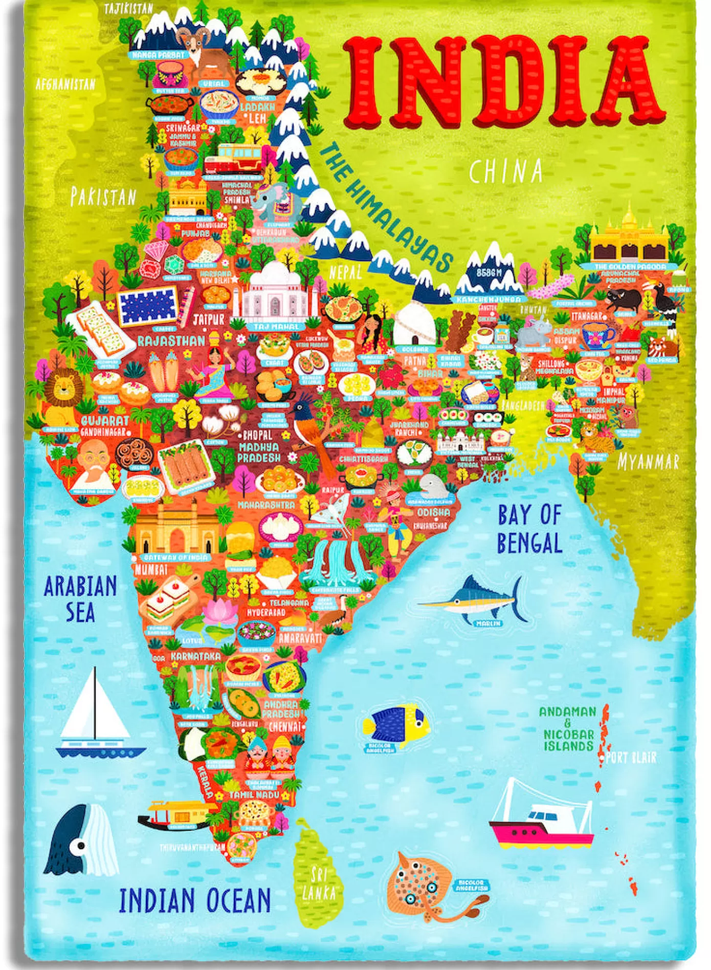 - Liv Wan India Food Map<Artifact Puzzles Shop